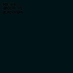 #031416 - Black Bean Color Image